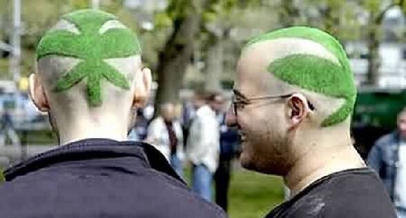 Des coupes de cheveux tres peeeeaace - deux mecs avec des coupes de cheveux insolite en forme de feuilles de cannabis bien verte