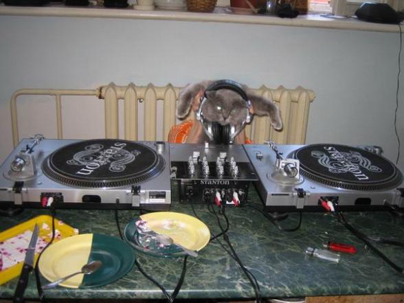 Dj cat ! Ca a vachement l air de lui plaire :p - dj cat