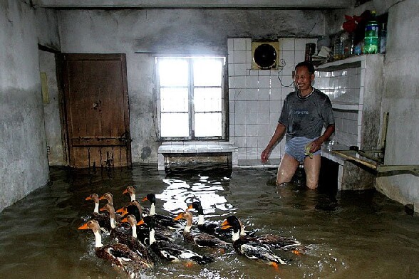 Un petit elevage de canard dans sa cuisine - inondation un mec a calecon avec 1 metre d eau et des canards dans sa cuisine