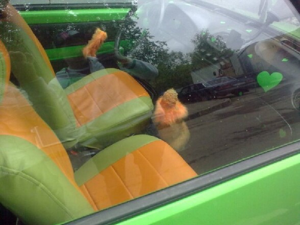 Tres kitch et poilu l intererieur de cette voiture - l interieur de cette voiture est vraiment tres laid