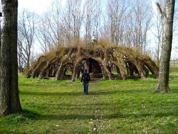 Un chapiteau naturel ! - un chapiteau naturel avec des arbres tordus